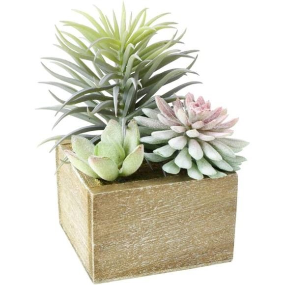 Artificial Succulents Plants, Mini Assorted Green Faux Succulents in Pots, Small - Picture 5 of 6